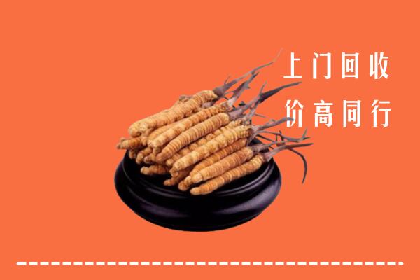鹤岗市萝北回收散虫草