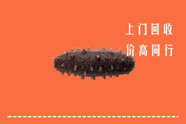 鹤岗市萝北回收海参