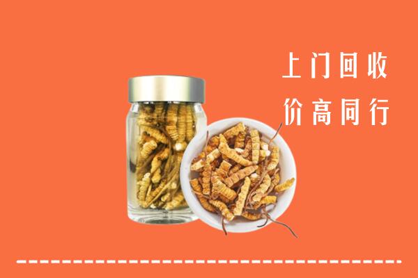 鹤岗市萝北回收冬虫夏草
